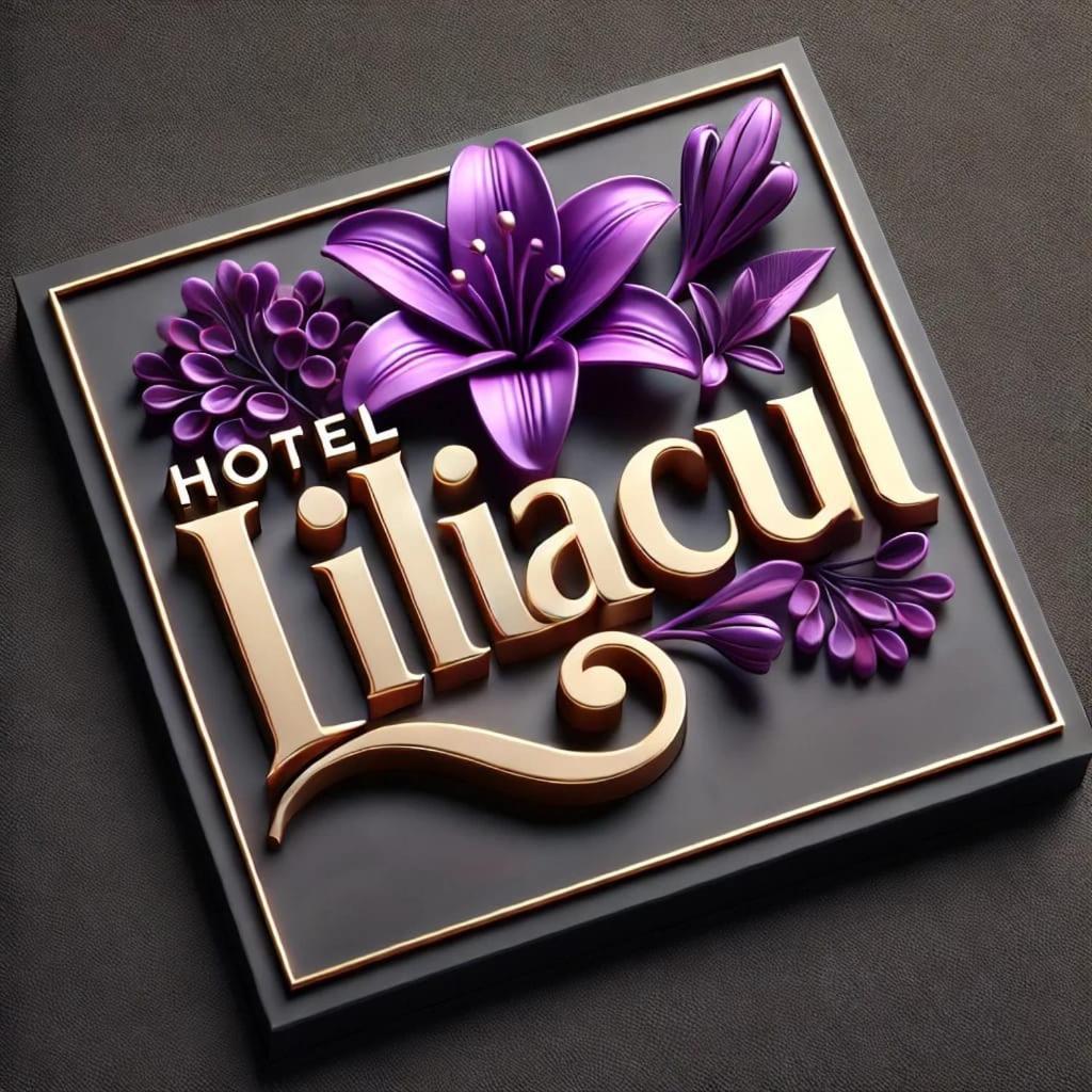 Hotel Liliacul Cluj-Napoca Esterno foto